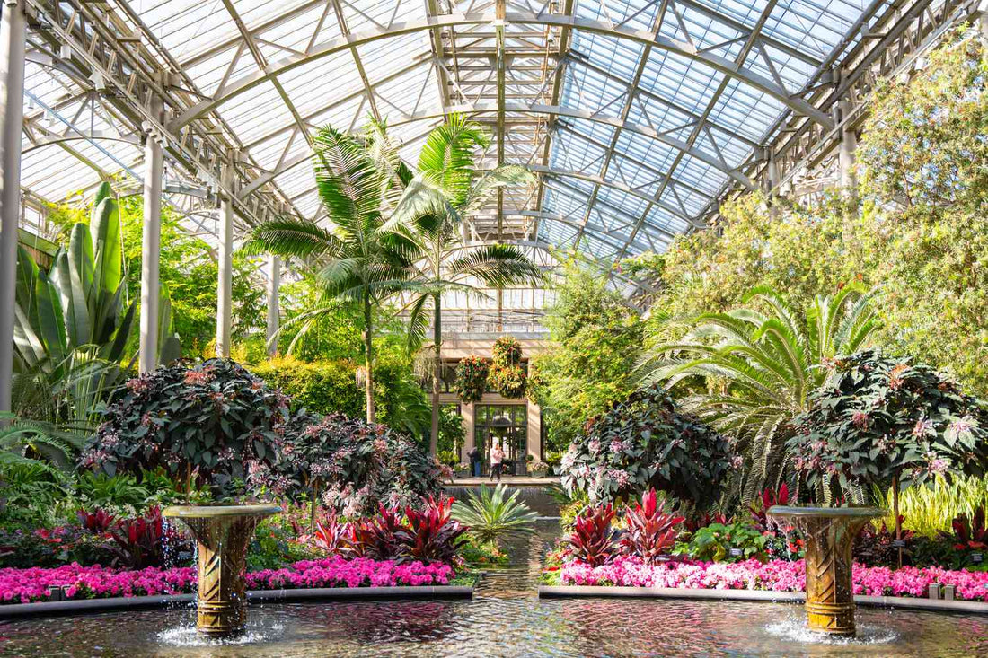 botanical garden lifestyle, nature and wellness, relaxing garden walks, travel to botanical gardens, living plant collections, greenhouse tours, arboretum visits, rare exotic plants, peaceful public gardens, outdoor garden experiences, botanical garden