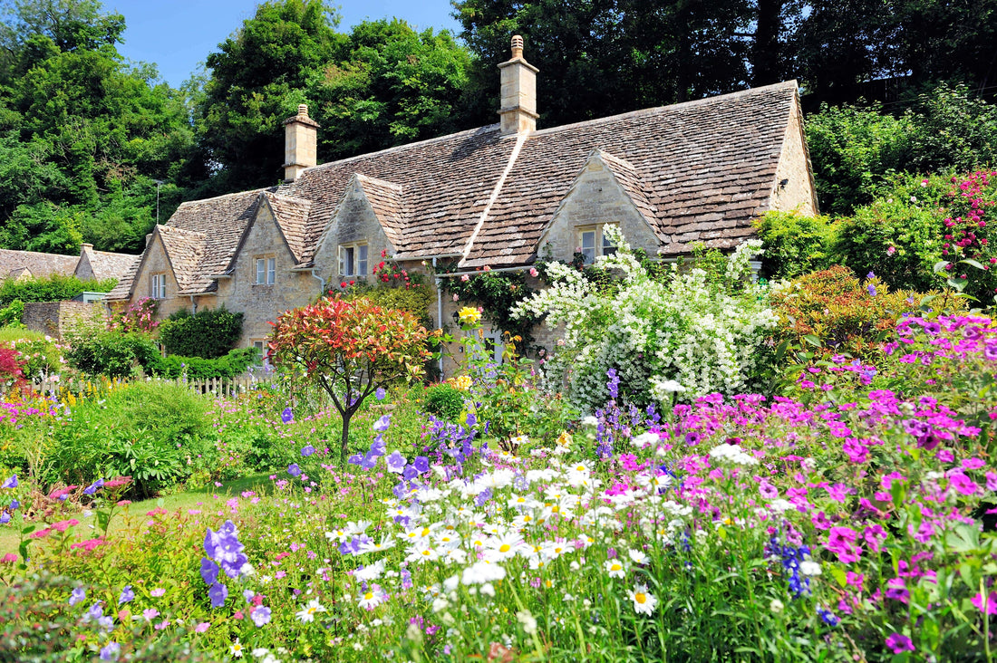 cottage garden, cottage gardens, English cottage garden, cottage garden design, cottage garden ideas, cottage garden plants, cottage garden flowers, how to create a cottage garden, cottage garden layout, cottage garden roses