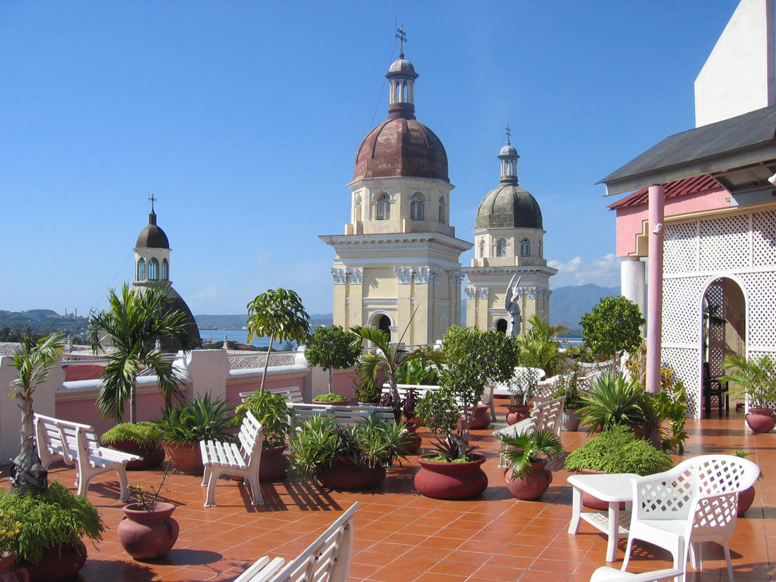 roof garden, rooftop garden, green roof, rooftop gardening, urban gardening, rooftop garden ideas, how to build a rooftop garden, roof garden design, best plants for rooftop garden, roof garden maintenance, green roof drainage, roof waterproofing