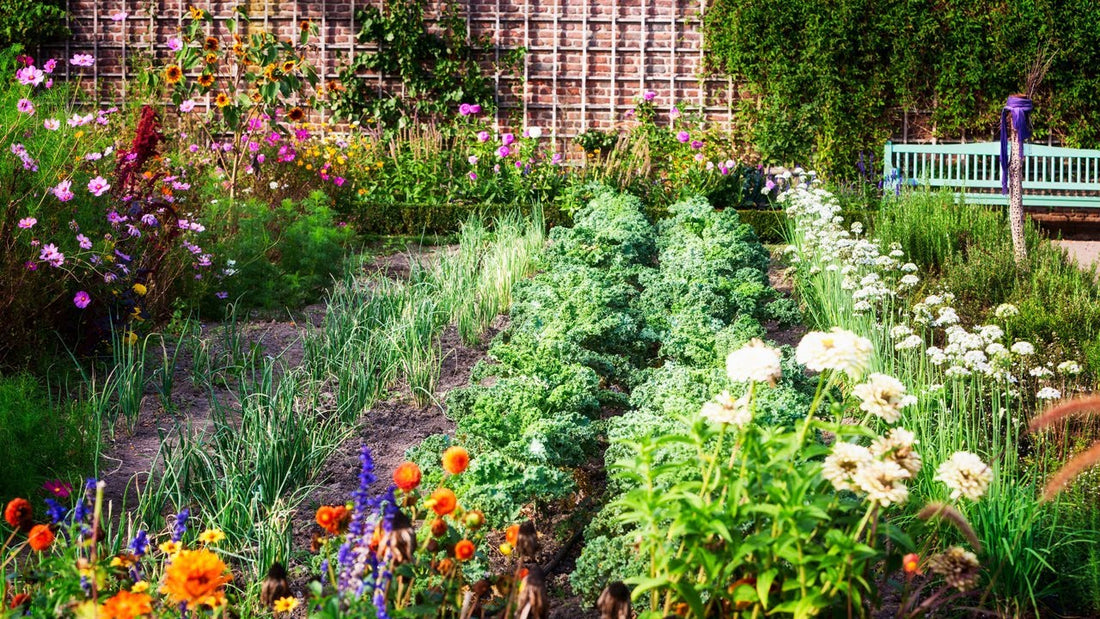 Kitchen garden, herb garden, indoor herb garden, vegetable garden, raised garden bed, container gardening, container herb garden, organic gardening, companion planting, garden soil, indoor gardening, home gardening
