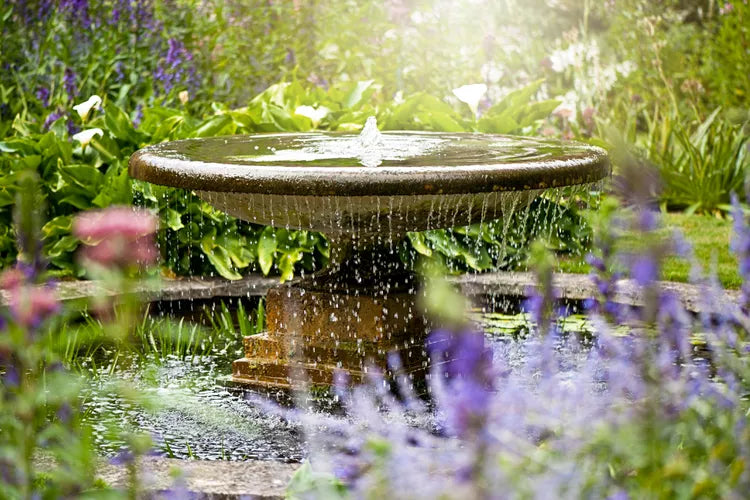 sensory garden, sensory garden ideas, sensory garden plants, how to create a sensory garden, how to design a sensory garden, accessible garden design, therapeutic garden, autism sensory garden, dementia garden, inclusive garden, scented garden