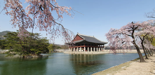 Traditional Korean garden, natural landscape design that follows the land, Korean rock garden Susok with carefully placed stones, pungsu geomancy guiding site selection, lotus pond and wooden pavilion in the Secret Garden
