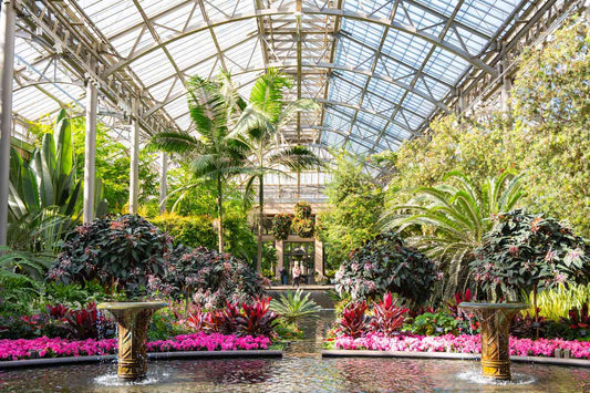 botanical garden lifestyle, nature and wellness, relaxing garden walks, travel to botanical gardens, living plant collections, greenhouse tours, arboretum visits, rare exotic plants, peaceful public gardens, outdoor garden experiences, botanical garden