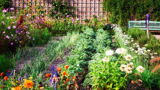 Kitchen garden, herb garden, indoor herb garden, vegetable garden, raised garden bed, container gardening, container herb garden, organic gardening, companion planting, garden soil, indoor gardening, home gardening