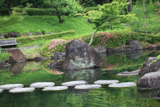 water garden, backyard pond, pond plants, aquatic plants, water features, garden fountain, koi pond, outdoor water feature, pond design, landscape water feature, pond maintenance, floating plants